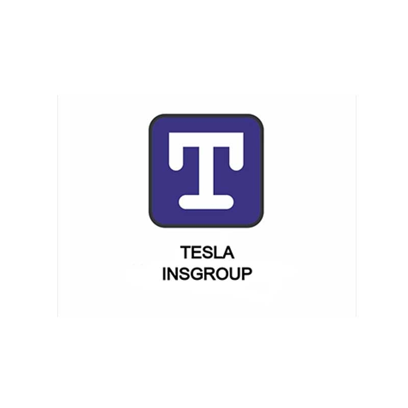 Tesla-Insurance